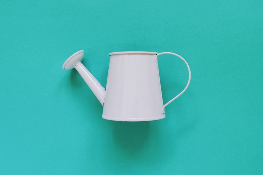 How To Design A Minimalist Garden